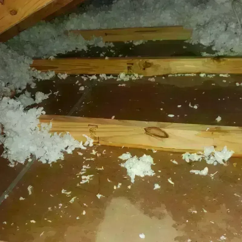 Attic Water Damage in Pigeon, MI