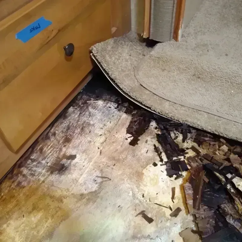 Wood Floor Water Damage in Pigeon, MI